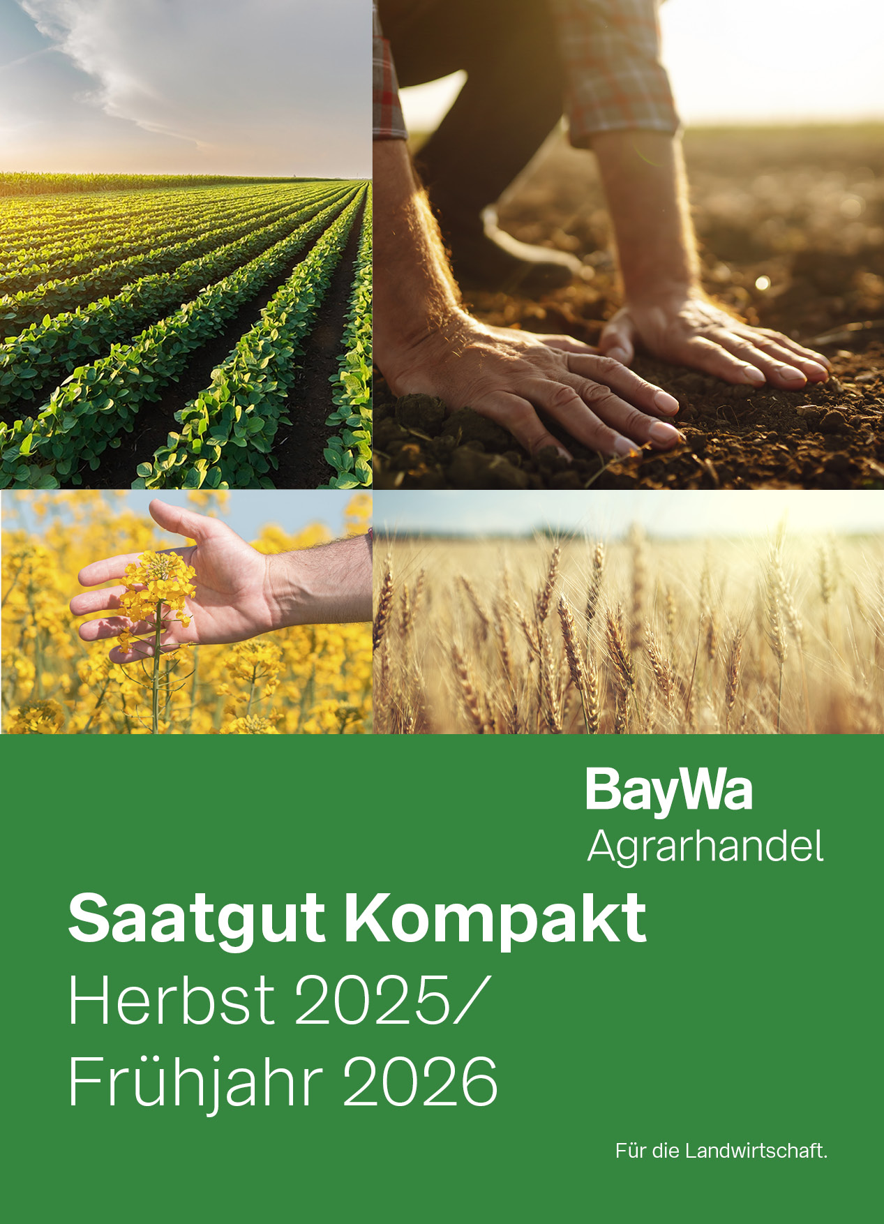 Saatgut Kompakt Herbst 2025/Frühjahr 2026